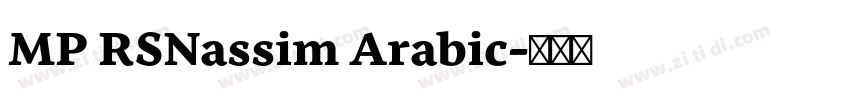 MP RSNassim Arabic字体转换 MP RSNassim Arabic字体转换